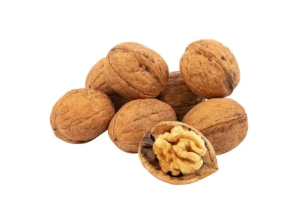 گردو پوست کاغذی تازه شهرکرد چهارمحال بختیاری